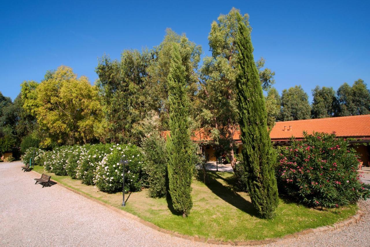 Agriturismo Le Pescine Vada Luaran gambar