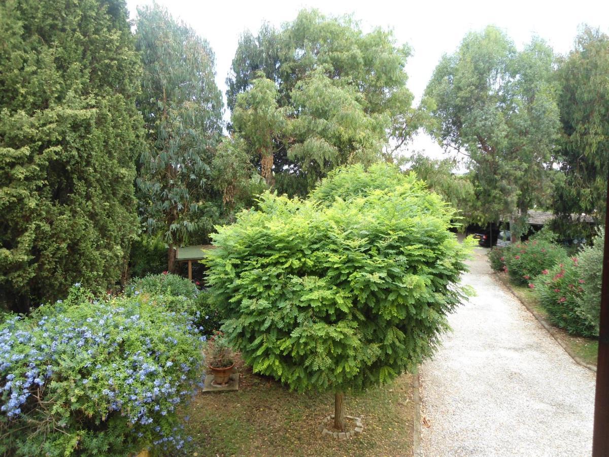Agriturismo Le Pescine Vada Luaran gambar