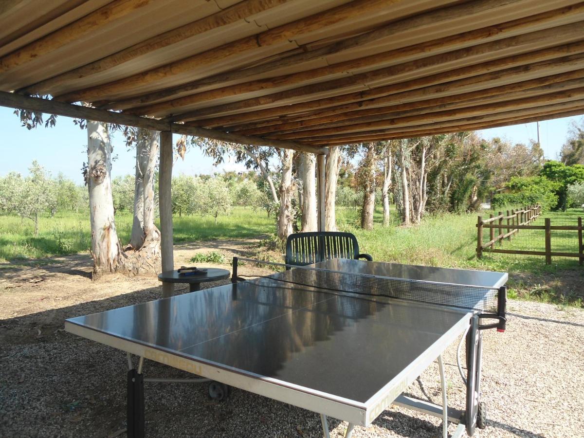 Agriturismo Le Pescine Vada Luaran gambar